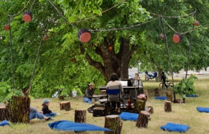 Pourquoi pas la forêt ? ׀ Collectif Points de Suspension