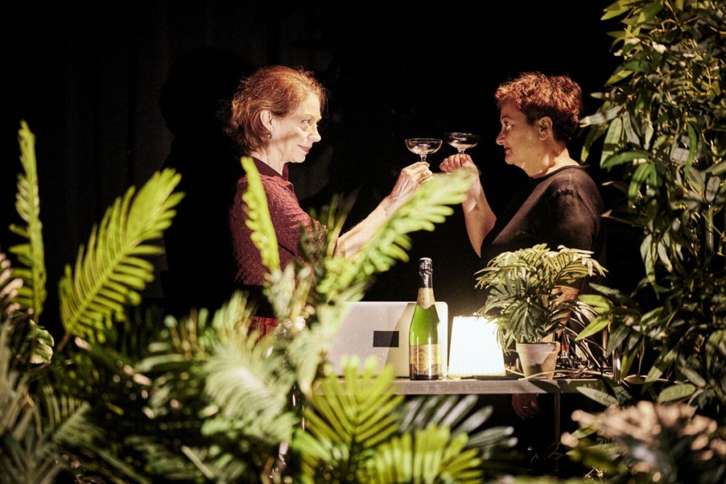Folies Shakespeare ׀ Compagnie Toujours après minuit